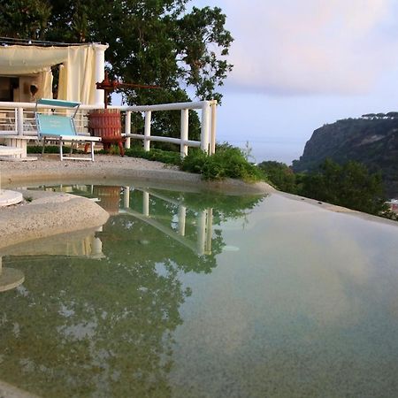 Belgodere Di Mezzavia Apartments Lacco Ameno  Dış mekan fotoğraf