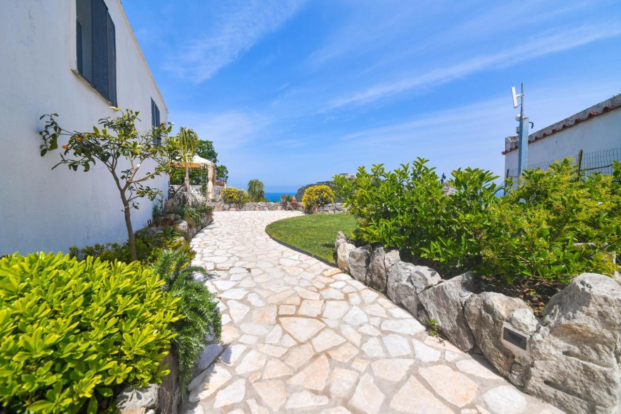 Belgodere Di Mezzavia Apartments Lacco Ameno  Dış mekan fotoğraf