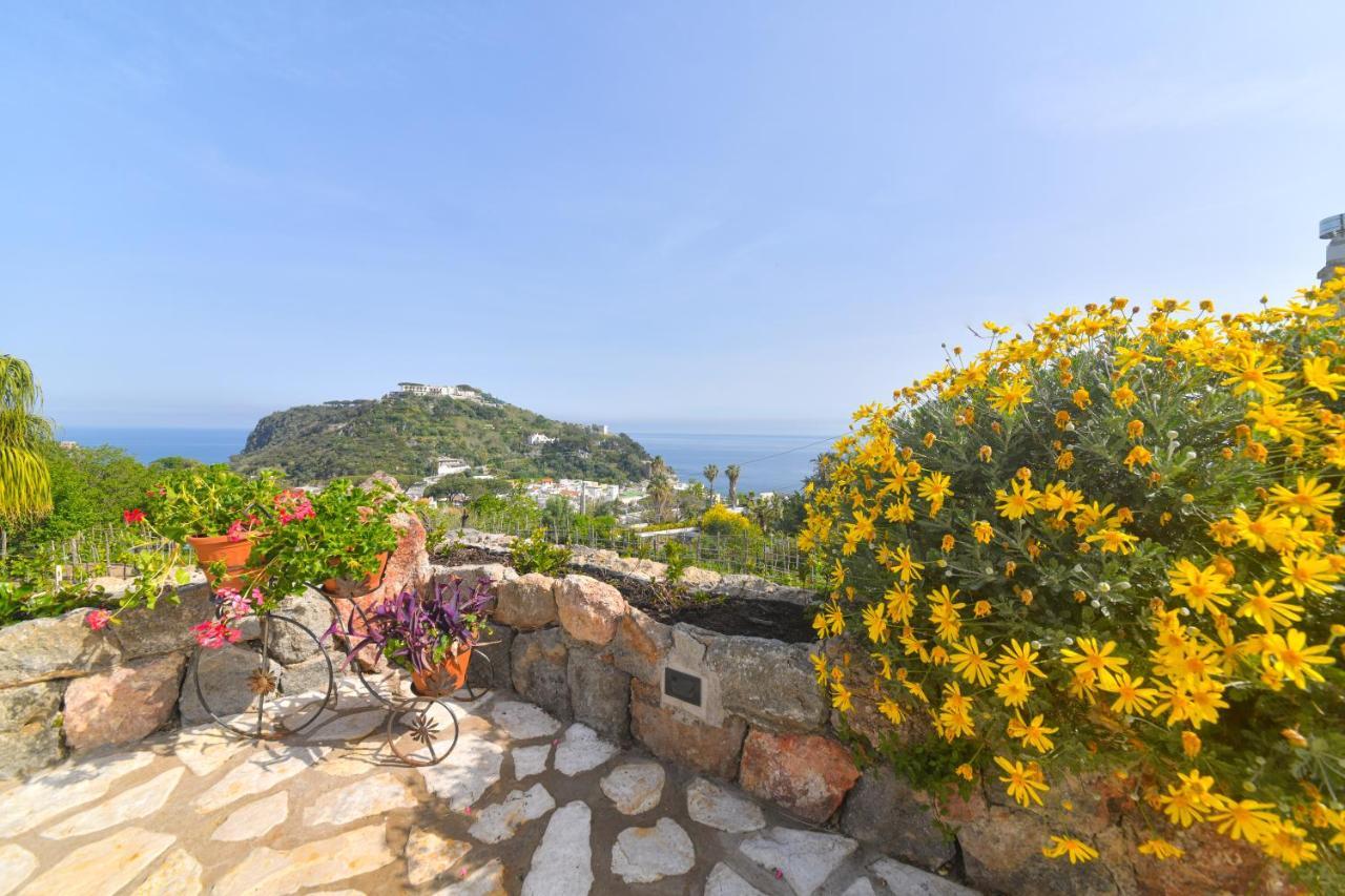 Belgodere Di Mezzavia Apartments Lacco Ameno  Dış mekan fotoğraf