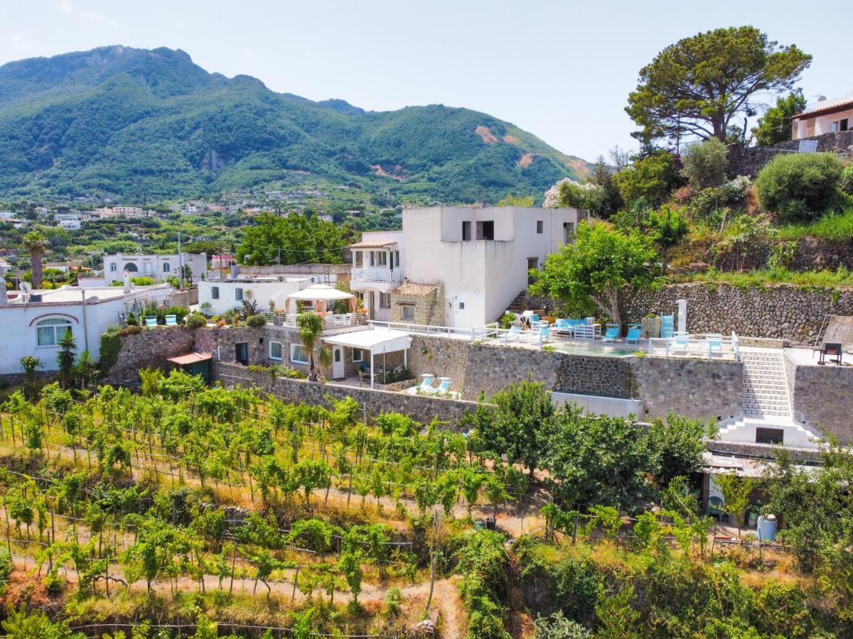 Belgodere Di Mezzavia Apartments Lacco Ameno  Dış mekan fotoğraf